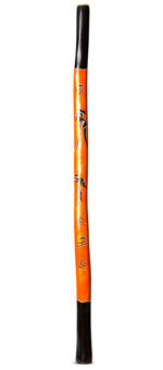 Suzanne Gaughan Didgeridoo (JW697)